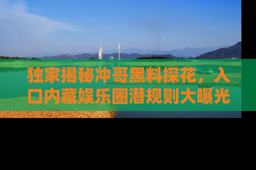 独家揭秘冲哥黑料探花，入口内藏娱乐圈潜规则大曝光