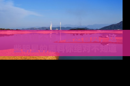 黑料爆不停，直达首页，这些明星的黑料你绝对不知道！