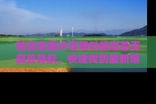 精品收藏冲哥黑料精选首页麻豆导航，快速找到最新爆料