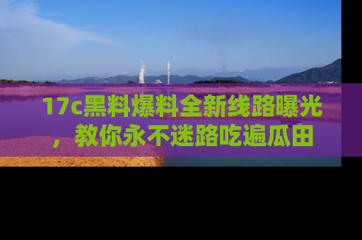 17c黑料爆料全新线路曝光,教你永不迷路吃遍瓜田