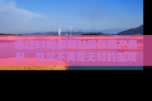 通过51吃瓜网站获取国产黑料，吃瓜不再是无知的围观者