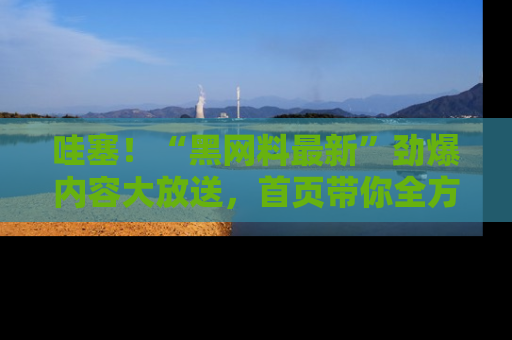 哇塞!“黑网料最新”劲爆内容大放送,首页带你全方位了解哦,小可爱们