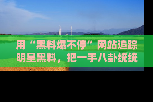 用“黑料爆不停”网站追踪明星黑料,把一手八卦统统收进你的后宫中!