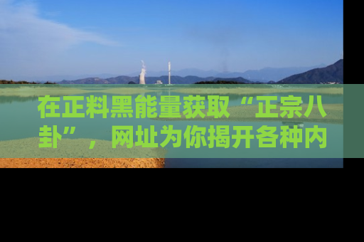 在正料黑能量获取“正宗八卦”,网址为你揭开各种内幕故事!