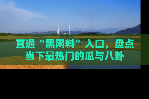 直通“黑网料”入口,盘点当下最热门的瓜与八卦