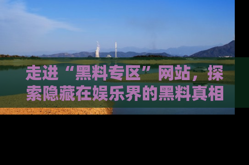 走进“黑料专区”网站,探索隐藏在娱乐界的黑料真相